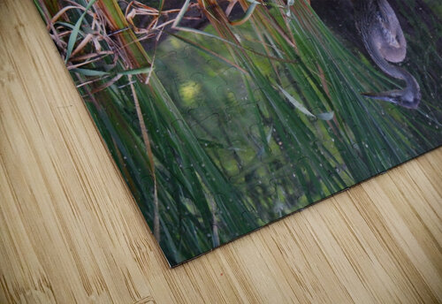 Blue Heron Peter Lindsey puzzle
