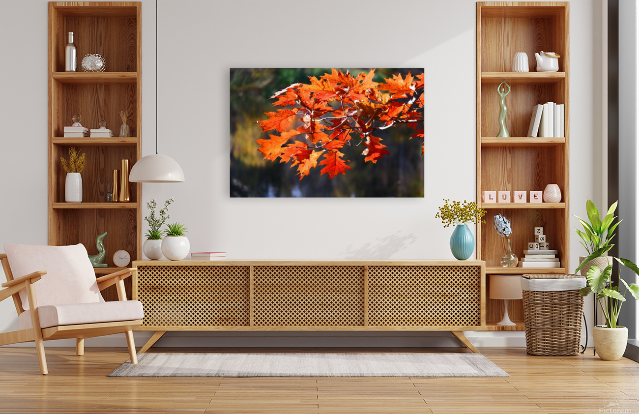 Fall Leaves Reproduction