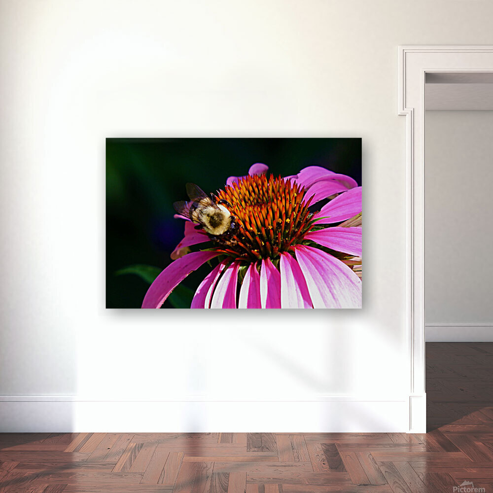 Bumble 5 Reproduction