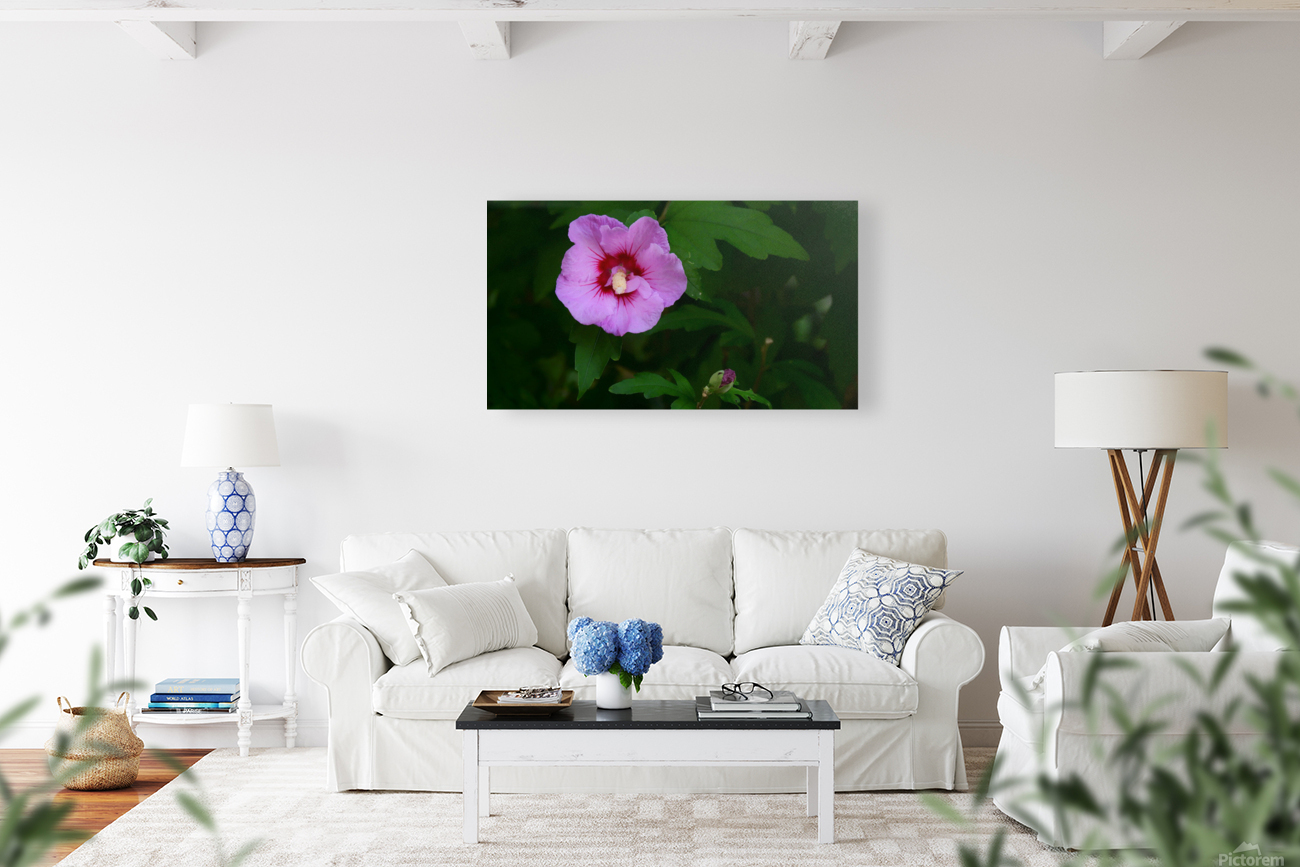 Softened Flower Reproduction