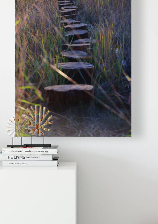 Pathway by Peter Lindsey