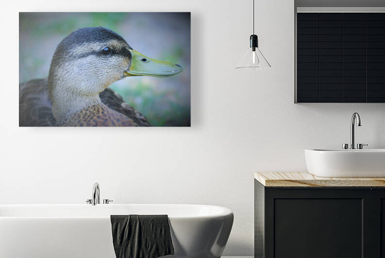 Duck Portrait by Peter Lindsey