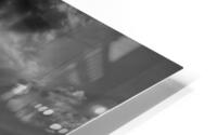 BW Evening HD Metal print
