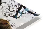 IRE 5 HD Metal print