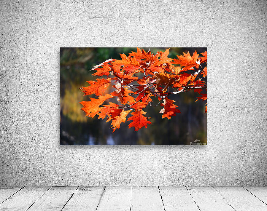 Fall Leaves Wall Preview