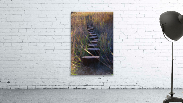 Pathway Wall Preview