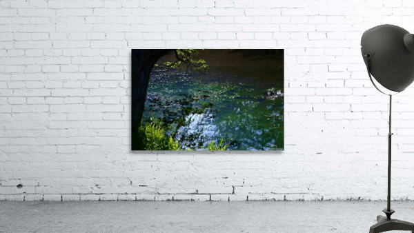 Early Summer Pond Wall Preview