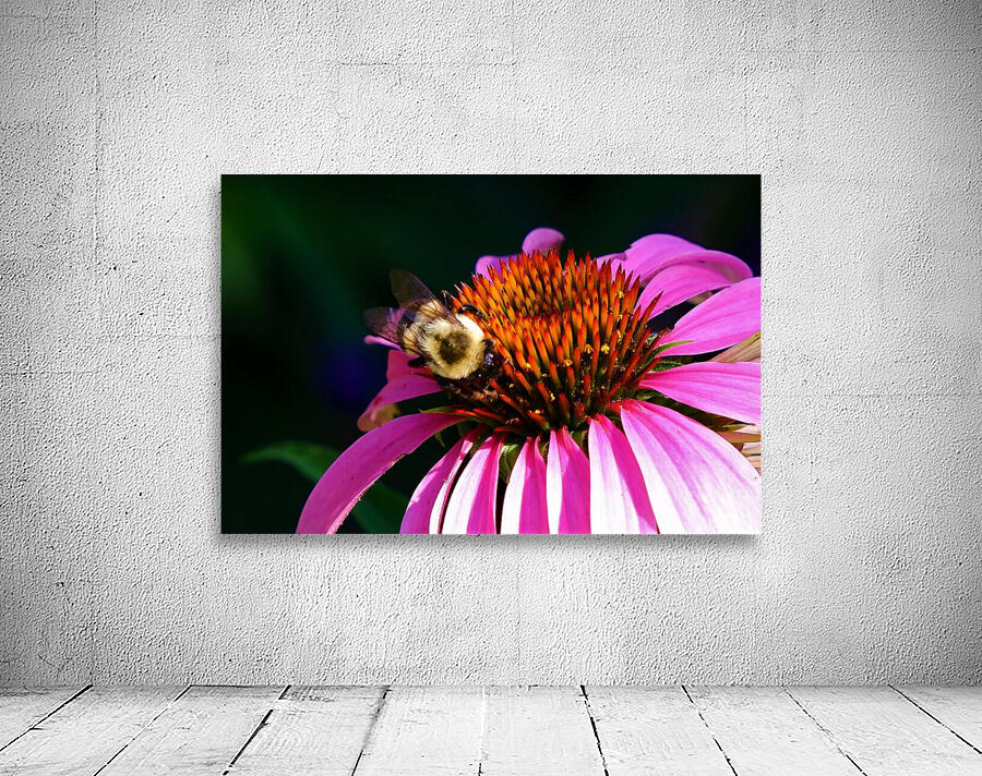 Bumble 5 Wall Preview