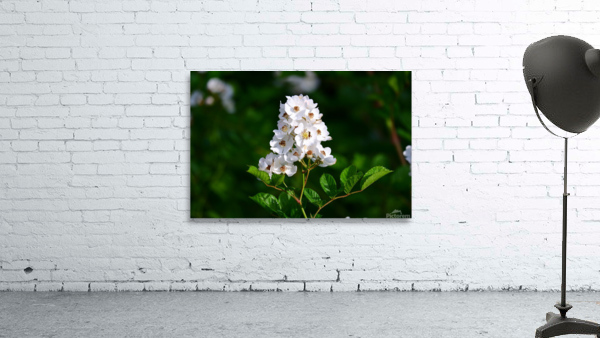 Foliage 2 Wall Preview