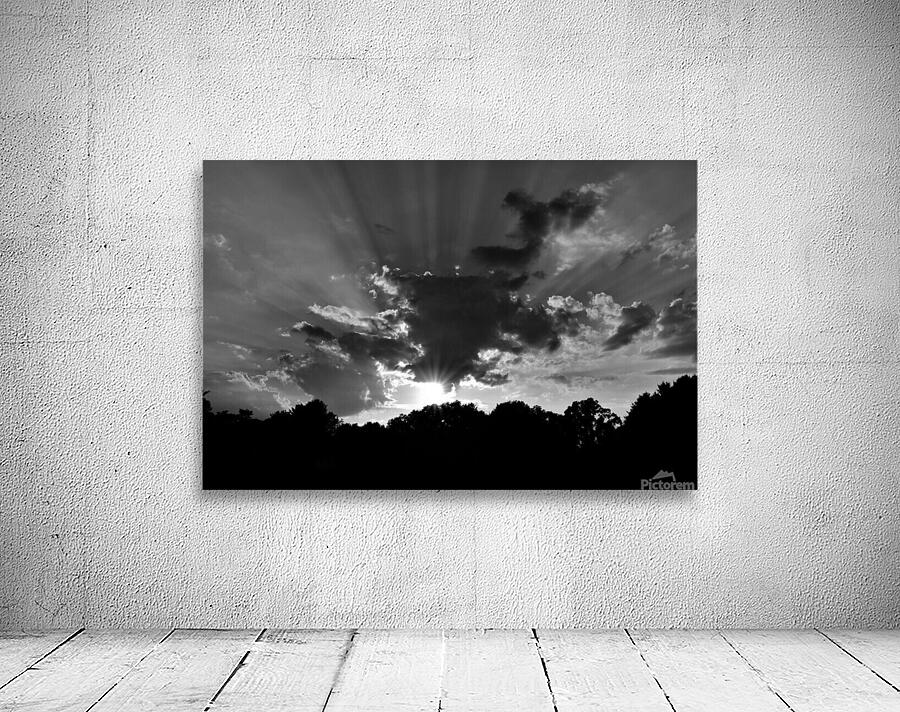 BW Evening Wall Preview