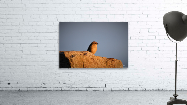 Watching the sunset together Wall Preview