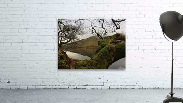 IRE 5 Wall Preview