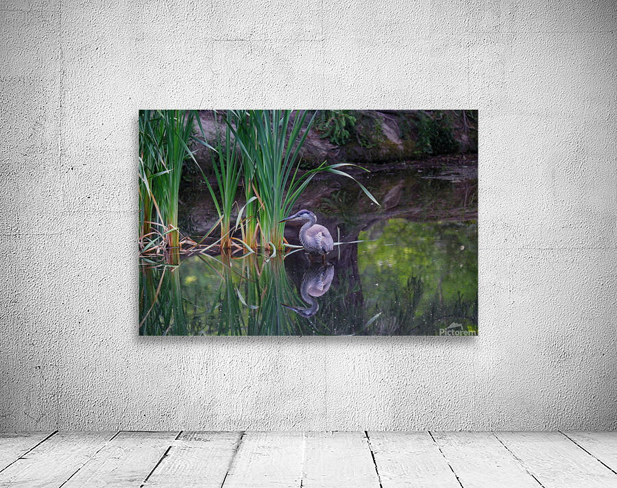 Blue Heron Wall Preview