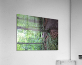 IMG_4909 Acrylic Print