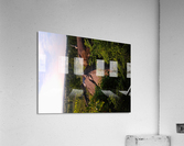 0530131921 Acrylic Print