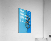 Unresolved Acrylic Print
