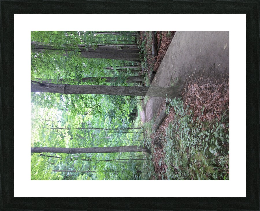 IMG_4909 Picture Frame print