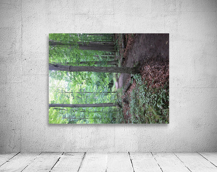 IMG_4909 Wall Preview