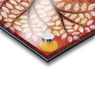 Closer to the Sun Acrylic print