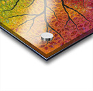 Explode With Joy Acrylic print