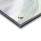 Botanic 24-19 Acrylic print