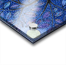 Back To The Dream Acrylic print