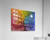 Explode With Joy Acrylic Print