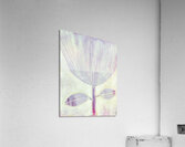 Botanic 24-19 Acrylic Print