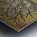 Illuminated Morning Metal print