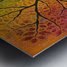 Explode With Joy Metal print