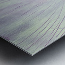 Botanic 24-19 Metal print