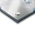 Autumn reeds Acrylic print