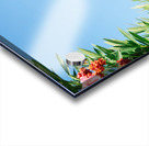 Greek Parliament Acrylic print