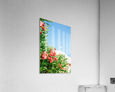 Greek Parliament Acrylic Print