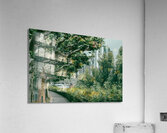green forest city Acrylic Print