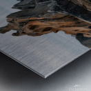 seascape Metal print