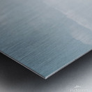 Horse on dry grass field Metal print