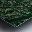 green forest city Metal print