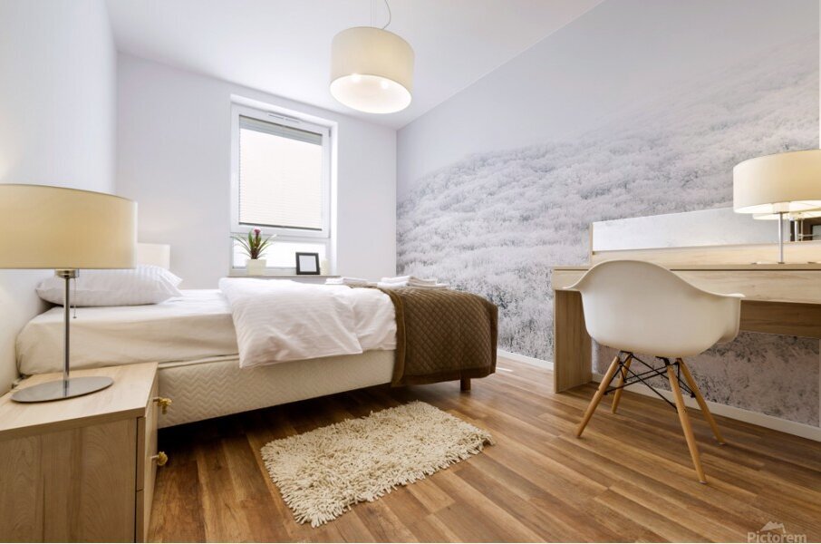 Jeju island winter mountain Mural print