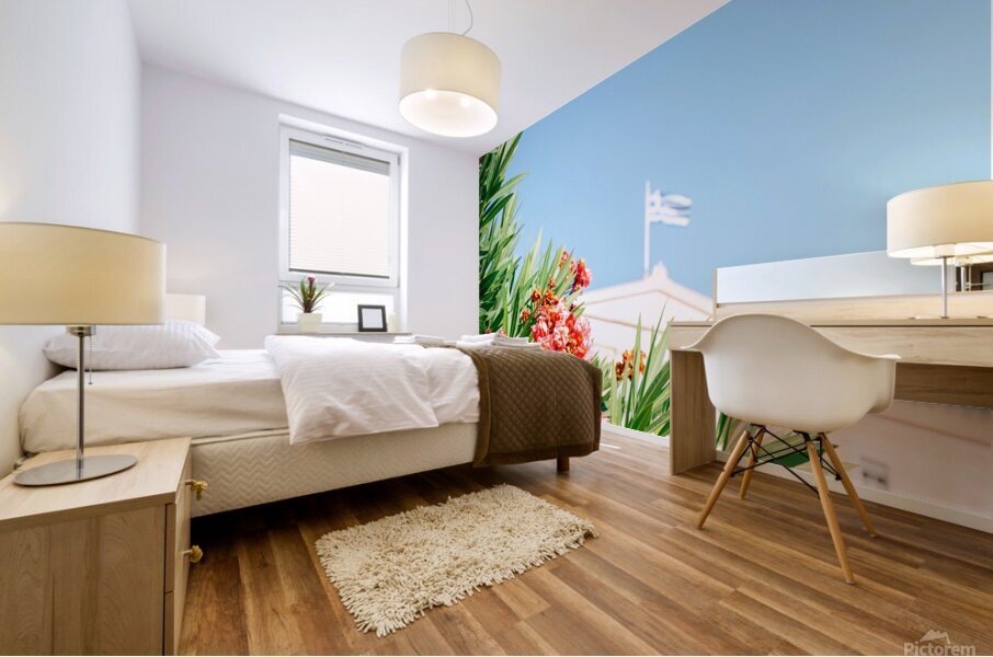 Greek Parliament Mural print