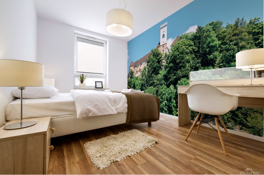 Ljubljana castle Mural print