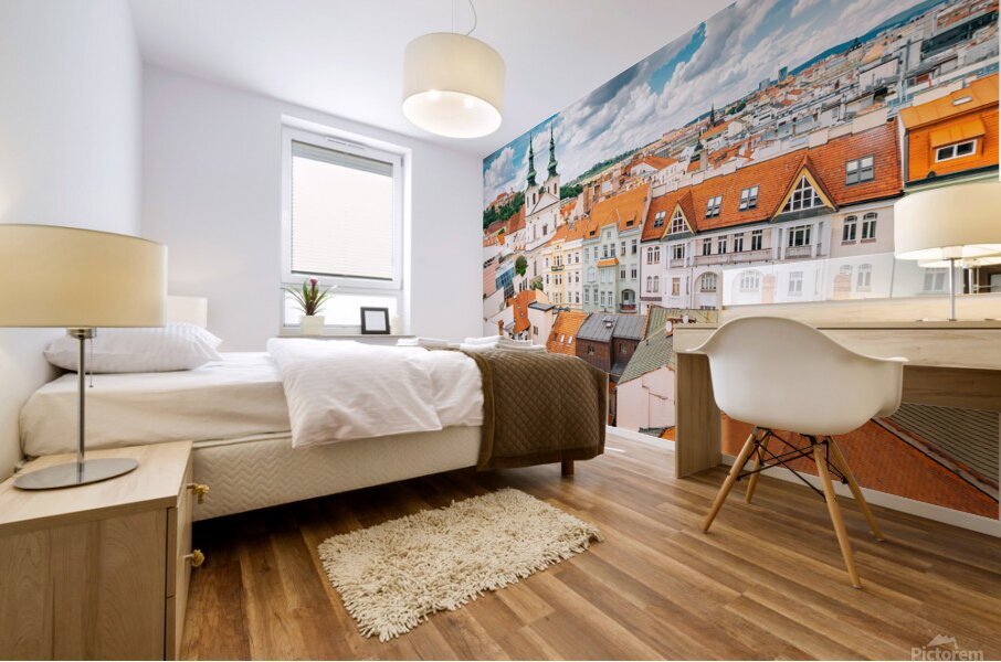 Brno Czech Mural print