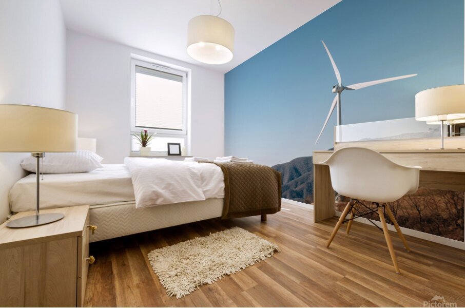 winter mountain Mural print