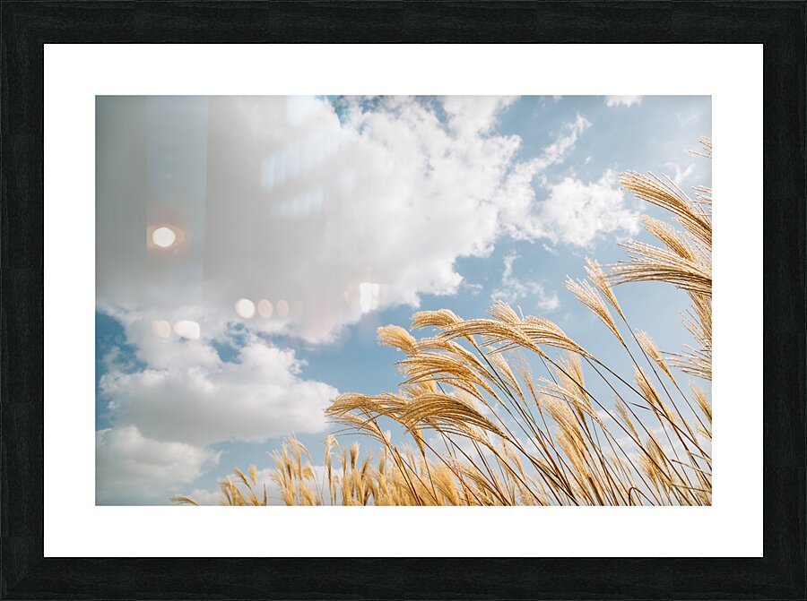 Autumn reeds Picture Frame print