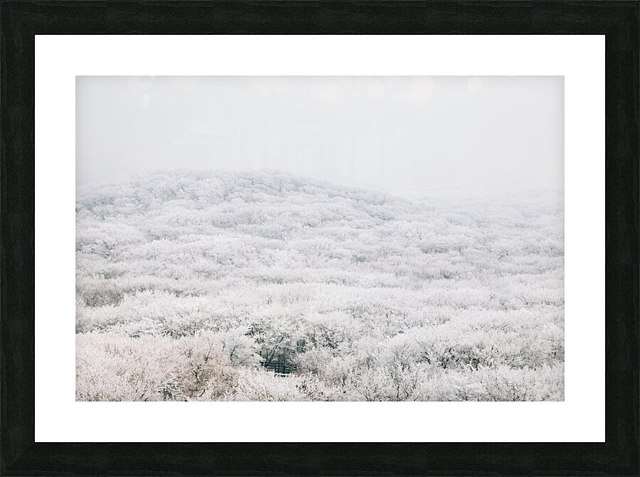 Jeju island winter mountain Picture Frame print