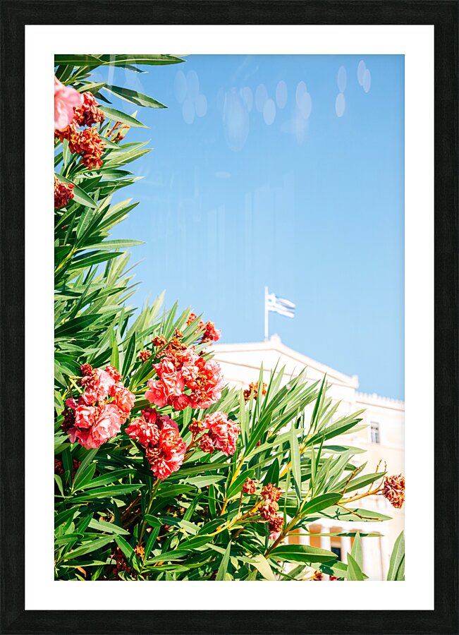 Greek Parliament Picture Frame print