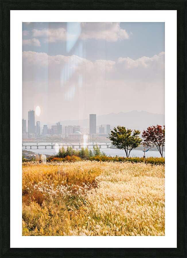 Seoul autumn scenery Picture Frame print