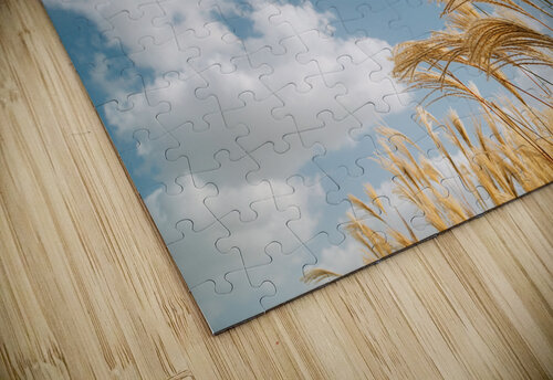 Autumn reeds sanga puzzle