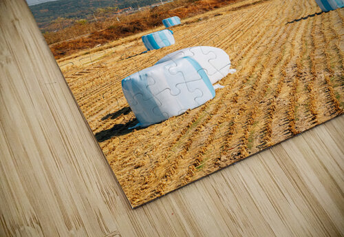Autumn paddy field sanga puzzle