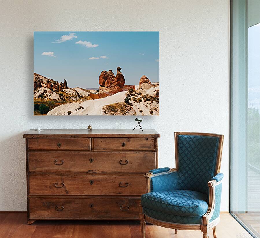 Cappadocia camel rock Reproduction